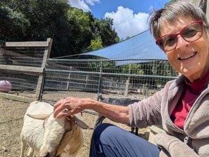 Sr. Madeleine in a photo with a goat at OLS.