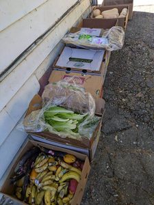 Sr. Madeleine shares a photo of all the discarded food from stores that gets donated to OLS. 