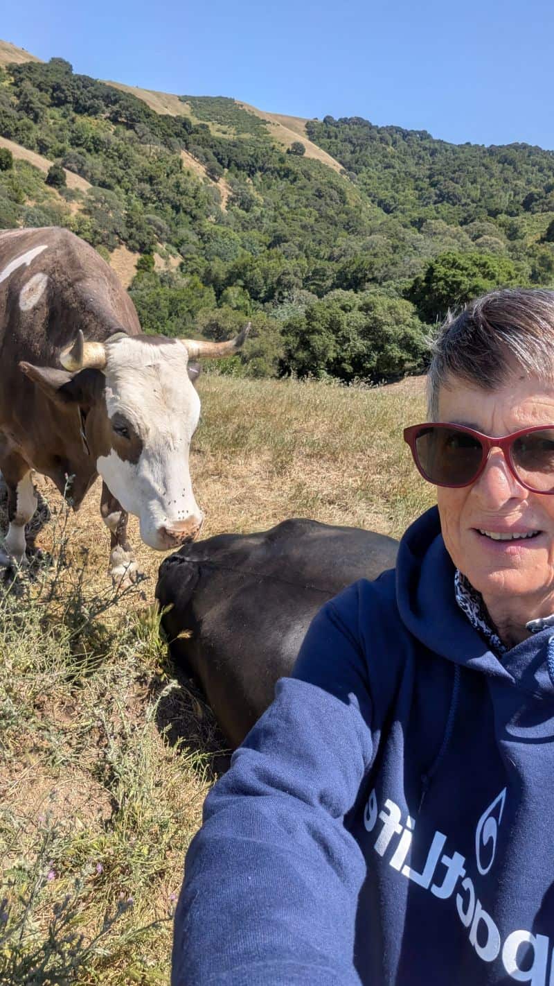 Sr. Madeleine Munday is working on a farm with rescue animals. This selfie is with her and two cows.