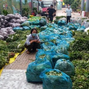 Vietnam people sorting donations during COVID