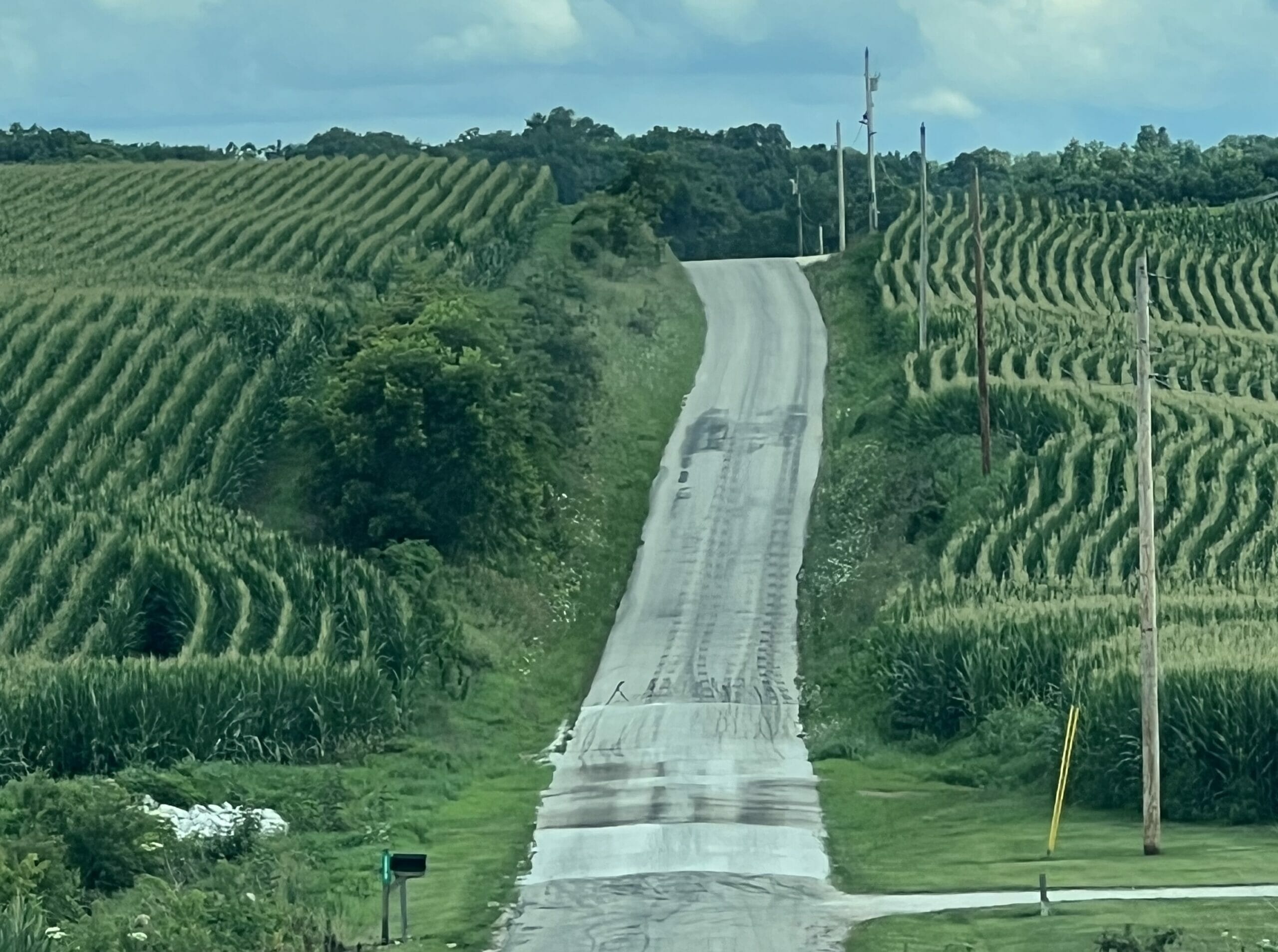 Template for Farm Bill letter to legislators