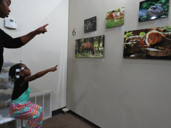 art exhibit