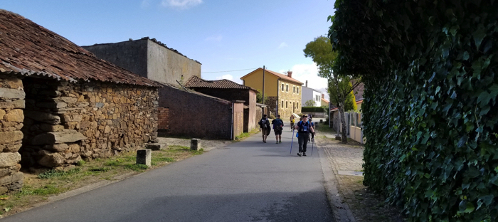 Camino de Santiago