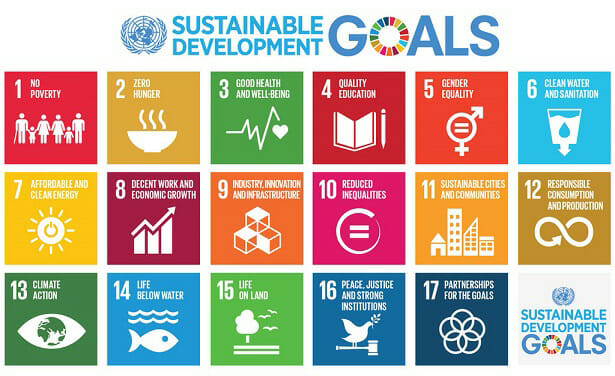 NGO Committee for Social Development Call for Videos & Comments