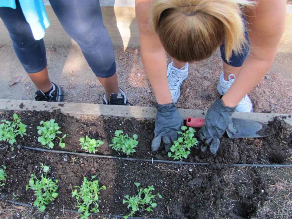 gardening women