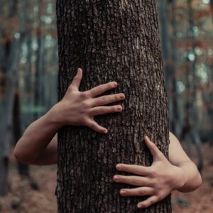 hugging a tree