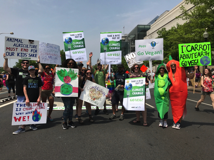 climate march